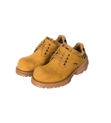 STARTING BIGGER HYBRID DERBY WHEAT COLOR STARTING BIGGER HYBRID DERBY WHEAT COLOR