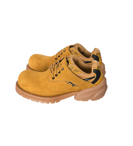 STARTING BIGGER HYBRID DERBY WHEAT COLOR STARTING BIGGER HYBRID DERBY WHEAT COLOR