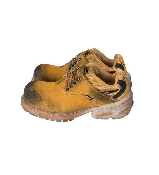 STARTING BIGGER HYBRID DERBY NASTY WHEAT