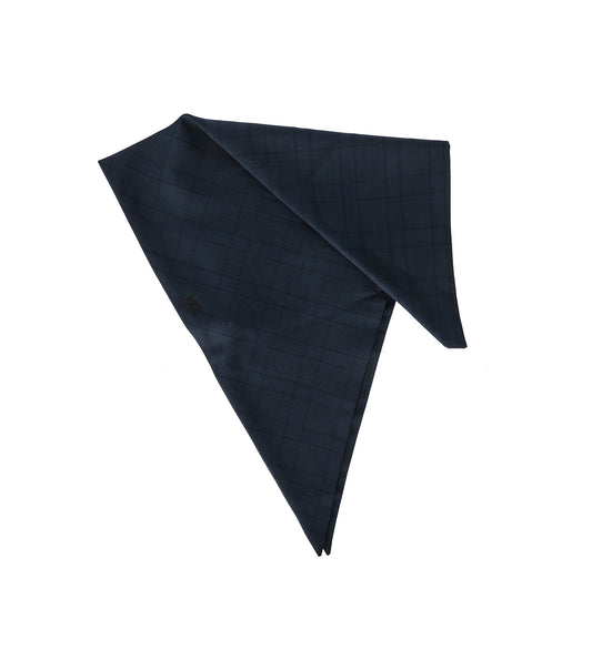 BANDANA BLUE CHECKED