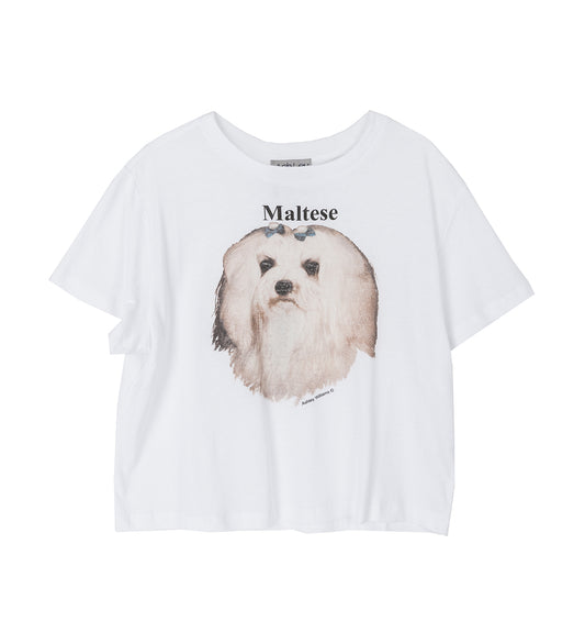 CROPPED T-SHIRT MALTESE WHITE