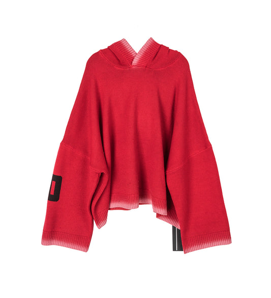 SB GRAPHIC PULLOVER HOODIE RED