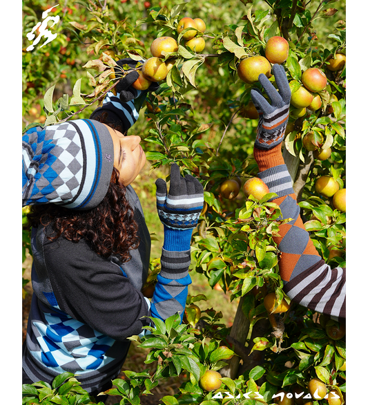 AQUIFOLIA KNIT HAT ANCHOR GREY/SKY