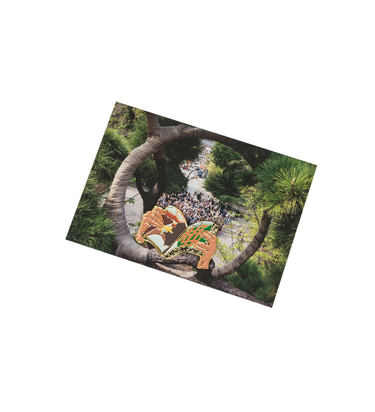 BOOK PIN