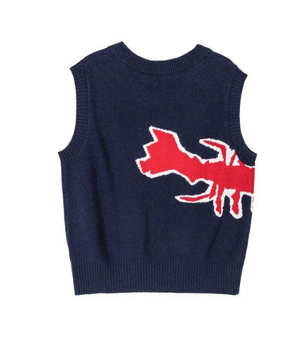 ROBSTER VEST BLUE