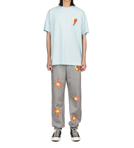 ALLY BO PERENNIALS PRINTED PANTS GREY