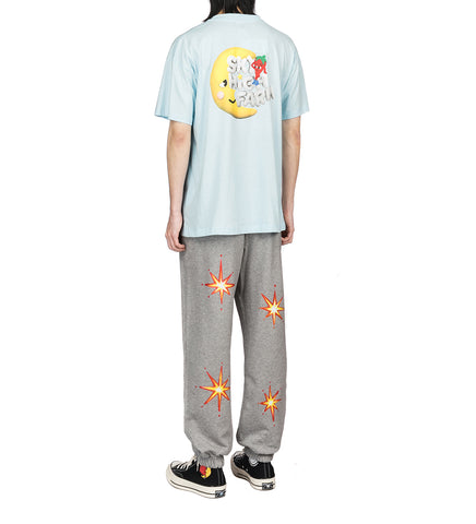 ALLY BO PERENNIALS PRINTED PANTS GREY