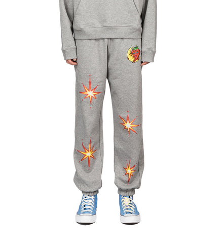 ALLY BO PERENNIALS PRINTED PANTS GREY