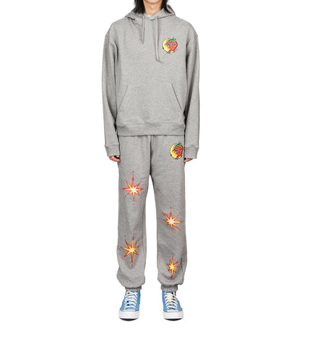 ALLY BO PERENNIALS PRINTED PANTS GREY