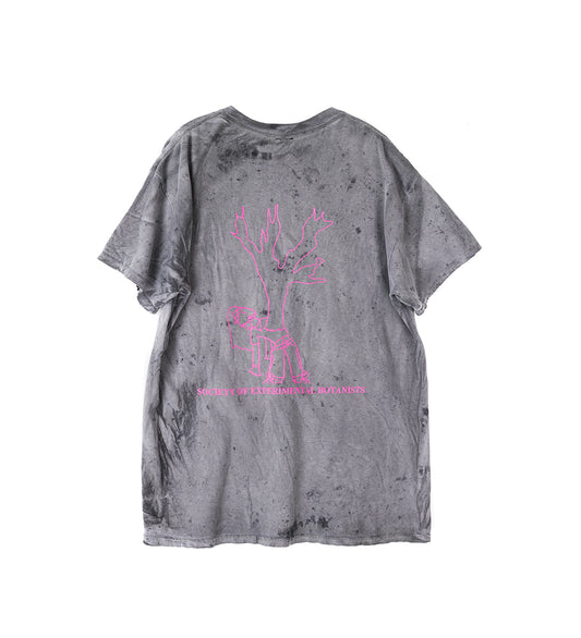 SOCOTRA T-SHIRT SS CHARCOAL