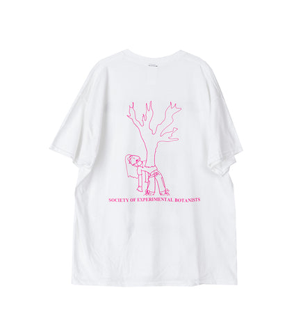 SOCOTRA T-SHIRT SS WHITE