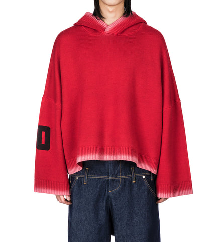 SB GRAPHIC PULLOVER HOODIE RED