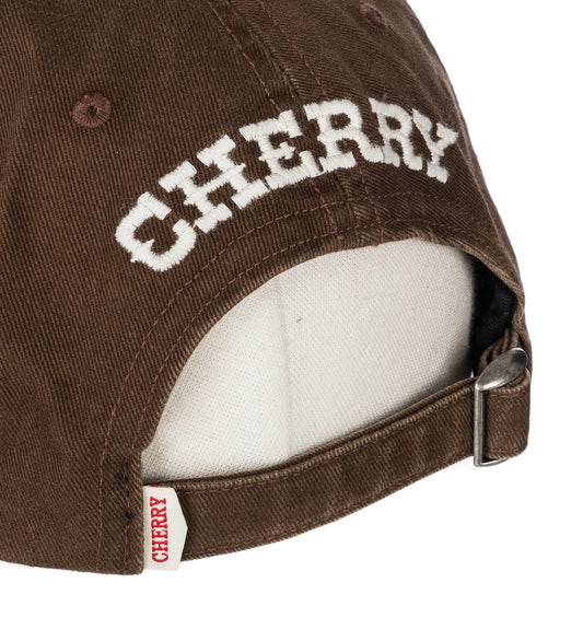 USA EMBROIDERED HAT BROWN
