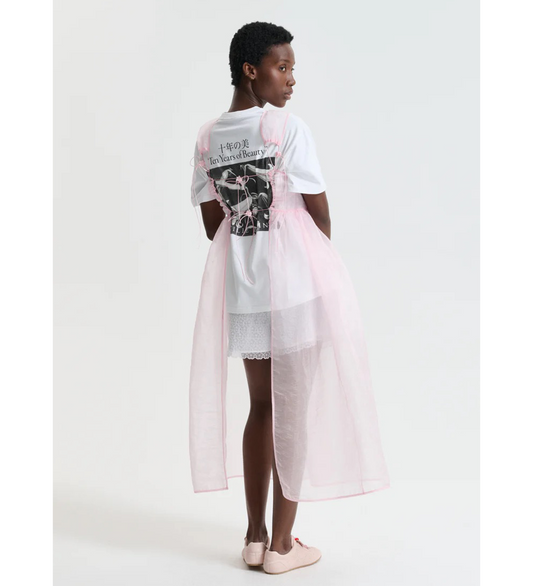 CBCAMILLA OVERLAY DRESS BLUSH PINK