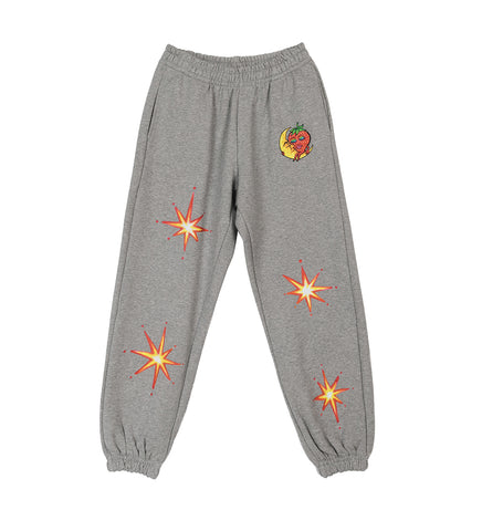 ALLY BO PERENNIALS PRINTED PANTS GREY