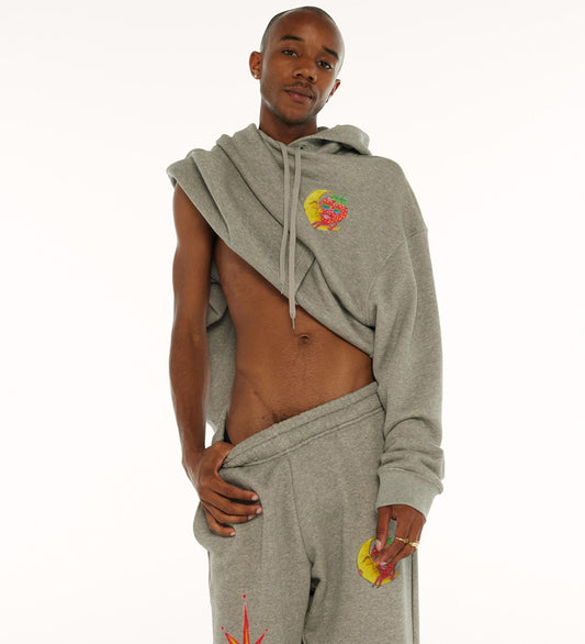ALLY BO PERENNIALS PRINTED HOODY GREY